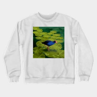 Marriott Park Water Hen Crewneck Sweatshirt